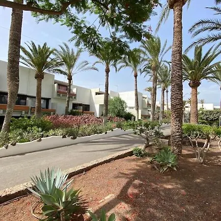 Deniz Sur - Bel * Arona (Tenerife)