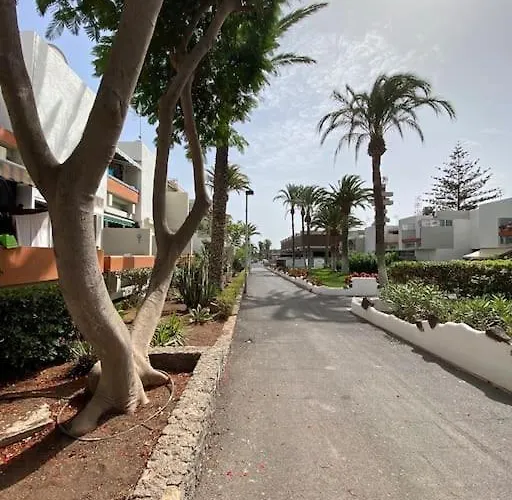 Deniz Sur - Bel Arona (Tenerife)